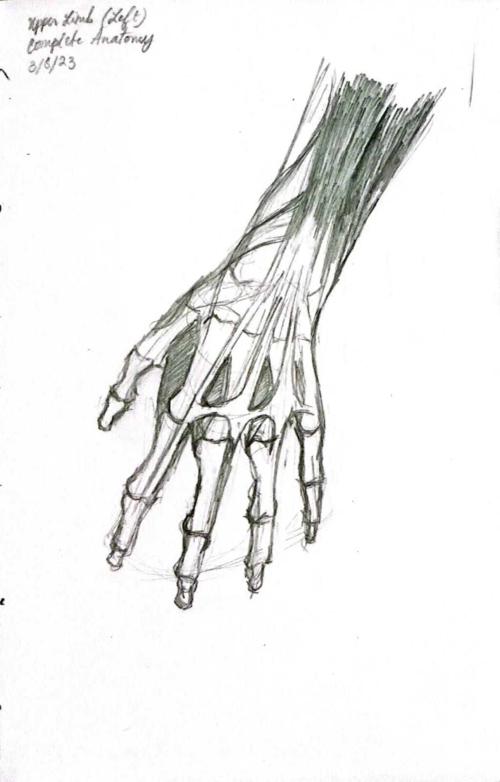 sketchbook page 10