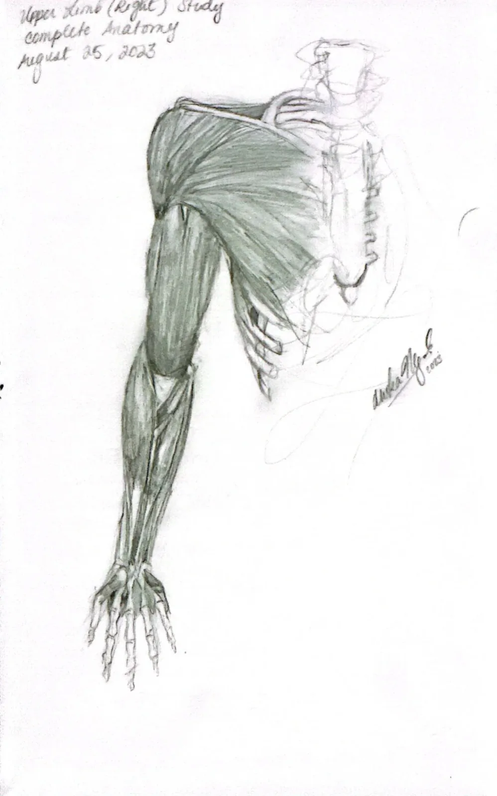 sketchbook page 11