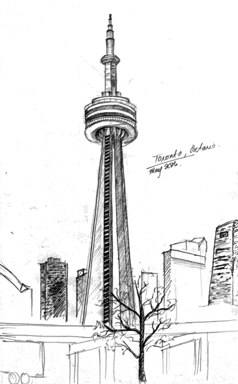 the cn tower, toronto